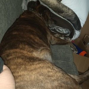 Meet your Posher, Emyl